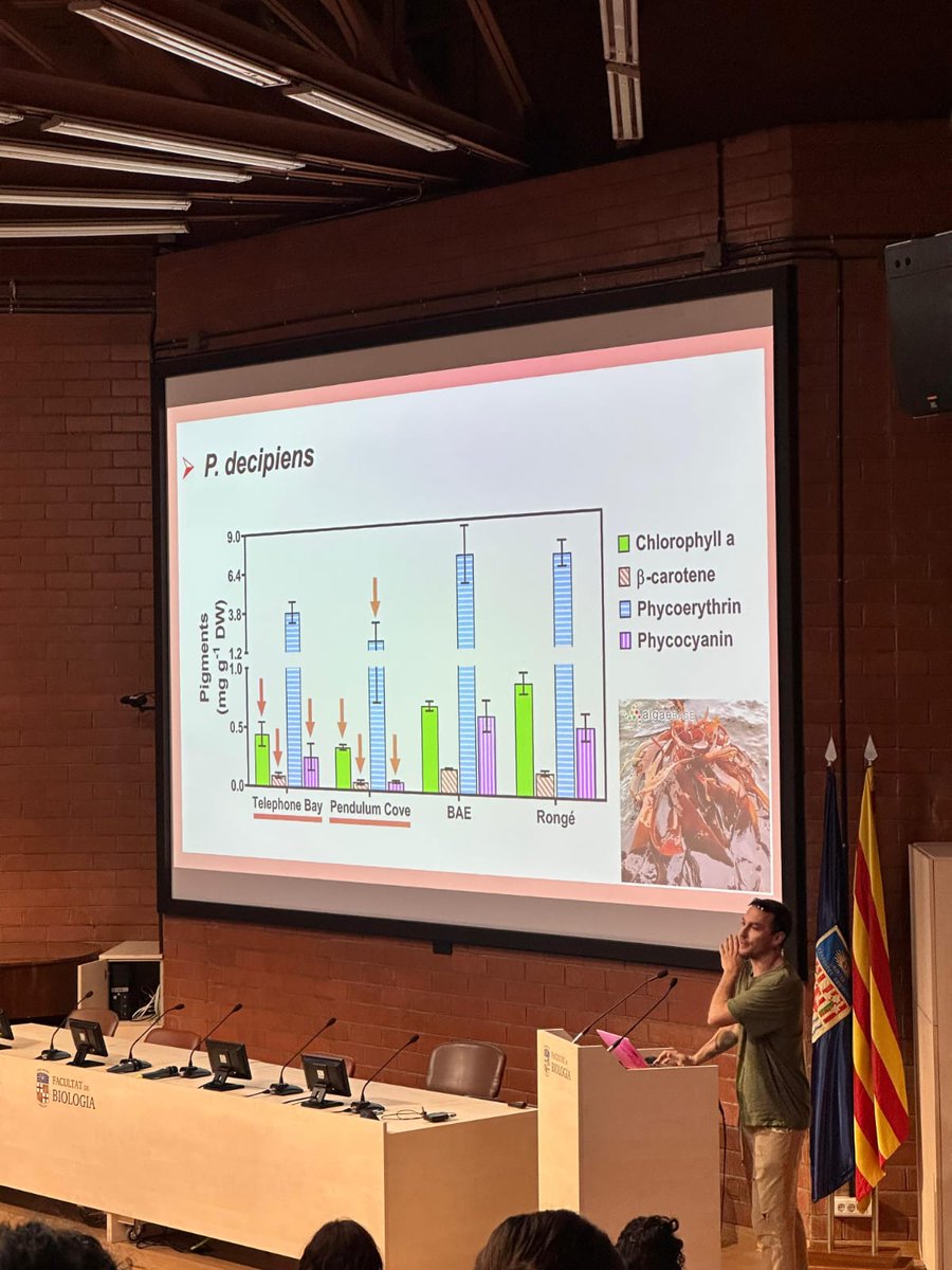 marcalcifiers's tweet photo. The #SeveroOchoa PhD candidate @tomas_haifisch was presenting some of the results of his thesis on pigment variability in 3 Antarctic red seaweed species at #NGI25 organized by @IRBioUB. Well done, Tomás 👏 #NGI25 #proudsupervisor @ICMCSIC @BiologiaUB https://t.co/E5zNrxHSK6