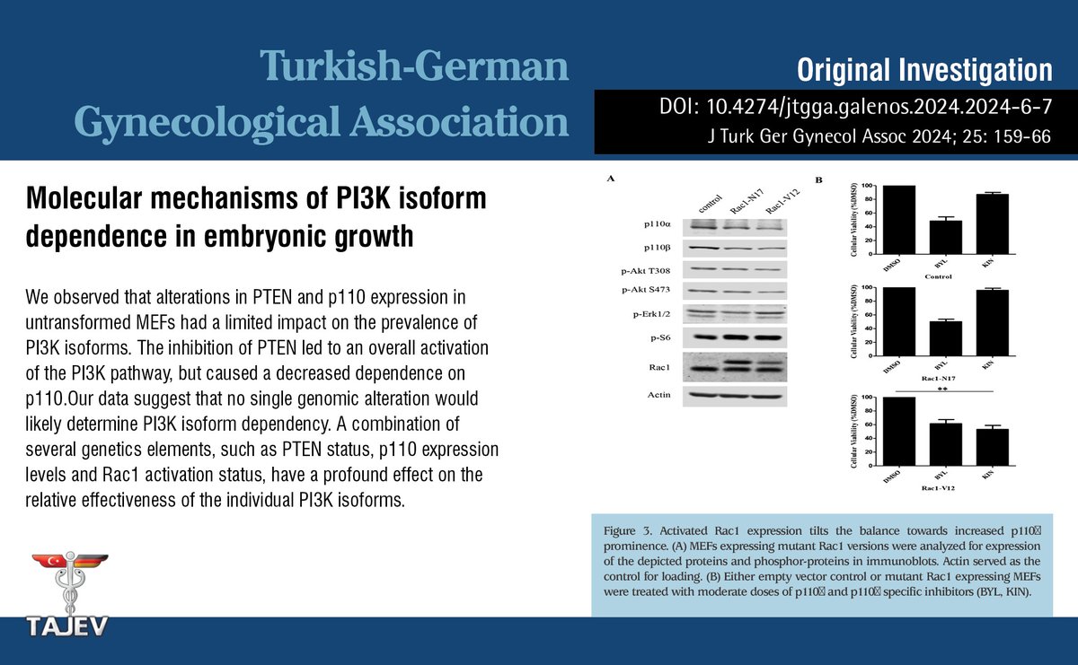 JtggaOfficial's tweet image. Molecular mechanisms of PI3K isoform dependence in embryonic growth

You can see the free full text of the research by Sena Atıcı et al.

Link : jtgga.org/pdf/a5223c9c-5…

#PI3K #isoform #prominence #PTEN #Rac1 #mouse #embryonic #fibroblasts