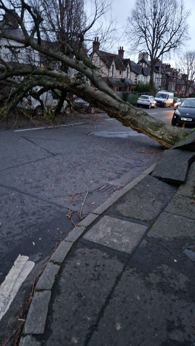 Tree blocking Donegall Road West Belfast.. be careful if you must go out.