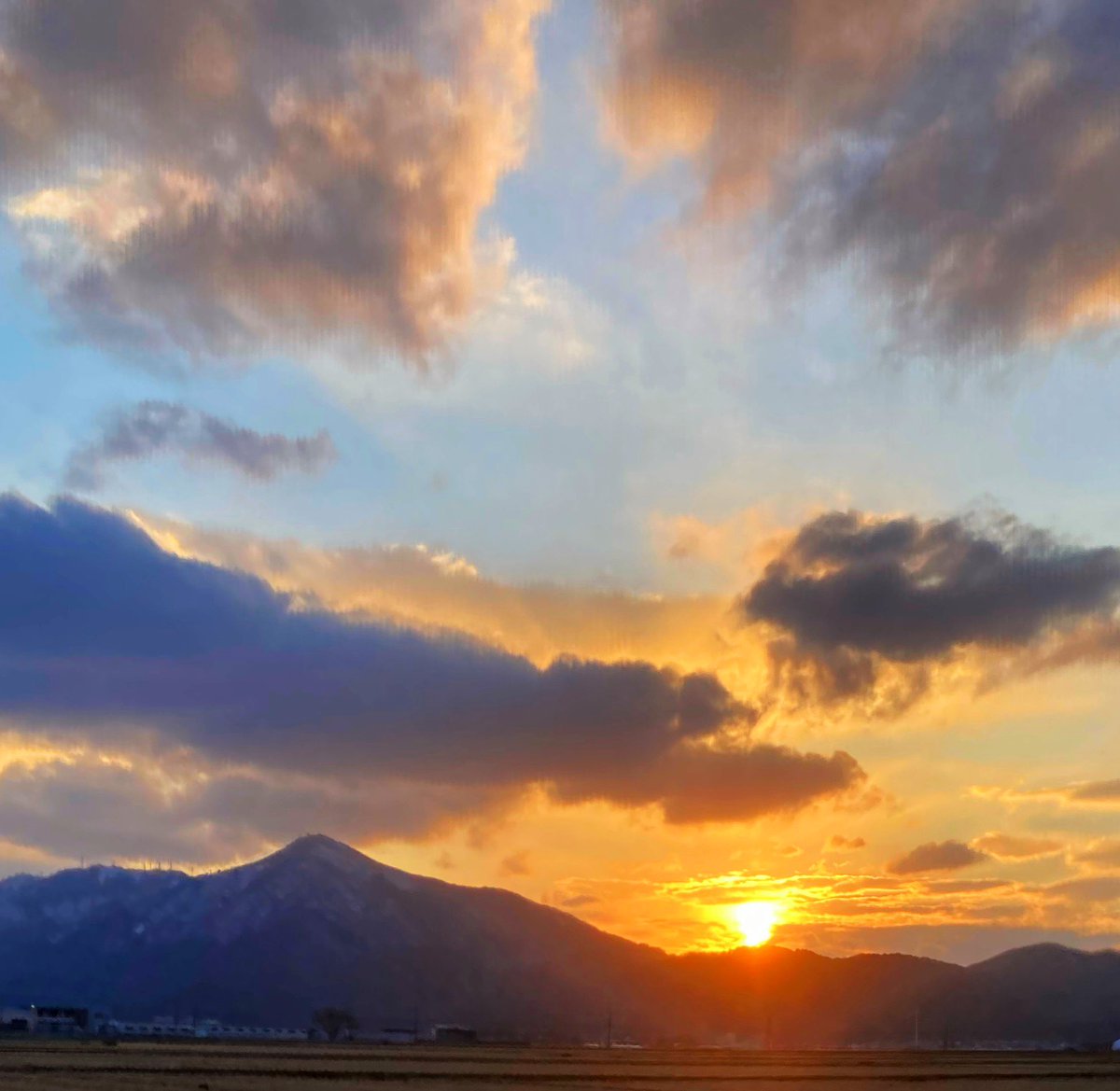 晴れたので夕陽を見に

いつも鉛色だから…
青空とオレンジ色の夕陽に目を灼かれましたʕʘ‿ʘʔ