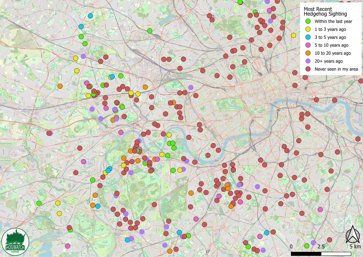 LondonHogWatch tweet media