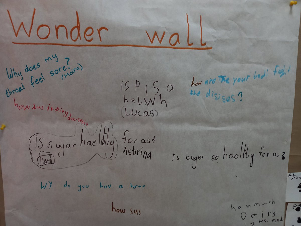 ISU_PYP's tweet photo. Asking questions, building knowledge &amp; taking action. Growing understanding on concepts of Health &amp; Wellbeing in #ISUGrade1 #WhoWeAre #IBPYP #ISULearns https://t.co/0EO7PNvOTs