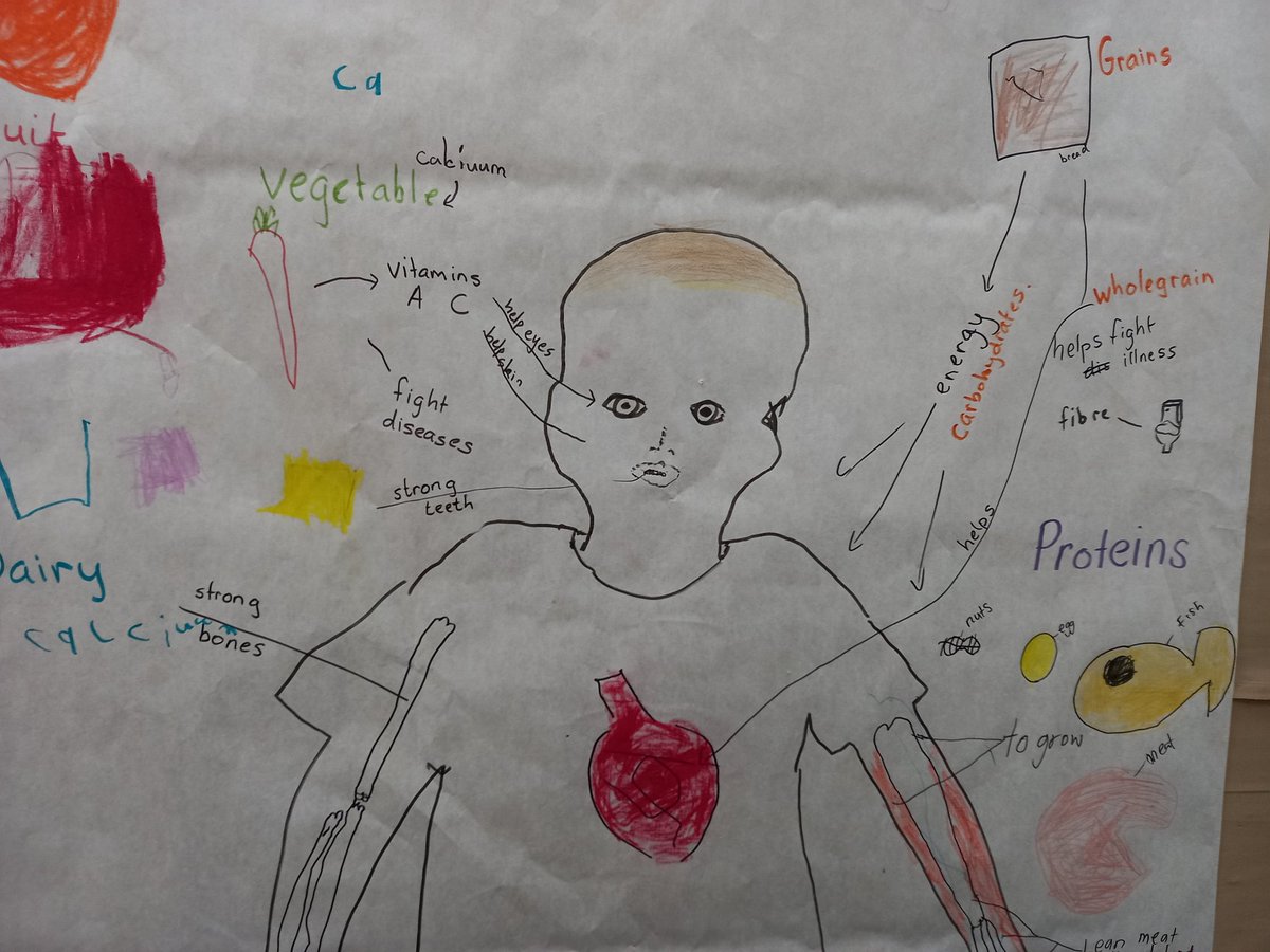 ISU_PYP's tweet photo. Asking questions, building knowledge &amp; taking action. Growing understanding on concepts of Health &amp; Wellbeing in #ISUGrade1 #WhoWeAre #IBPYP #ISULearns https://t.co/0EO7PNvOTs