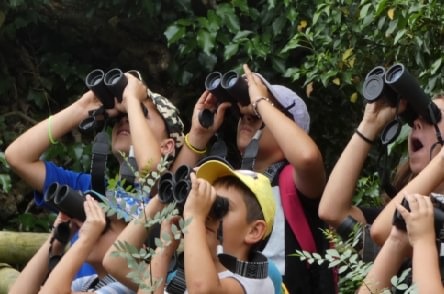 Plan_INFOCAM's tweet photo. 🌍💡 El cuidado de nuestros montes empieza con la educación.

En el Día Mundial de la Educación Ambiental, destacamos la importancia de aprender a proteger nuestros recursos naturales para un futuro más sostenible en #CLM. 🌳

Cuidar el entorno natural  #EsTareadeTodos👥 https://t.co/KdsuXLTan0