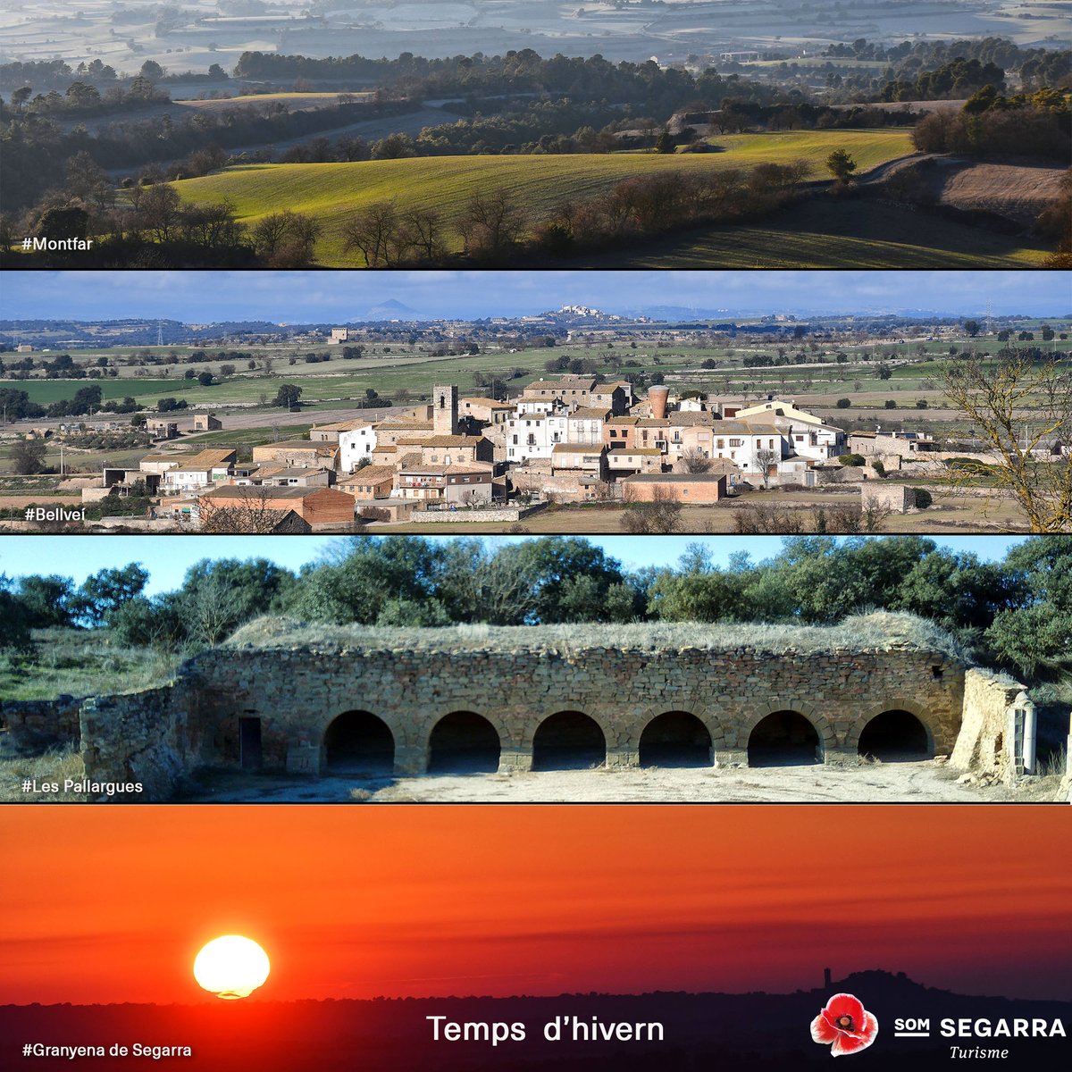 Som Segarra tweet media