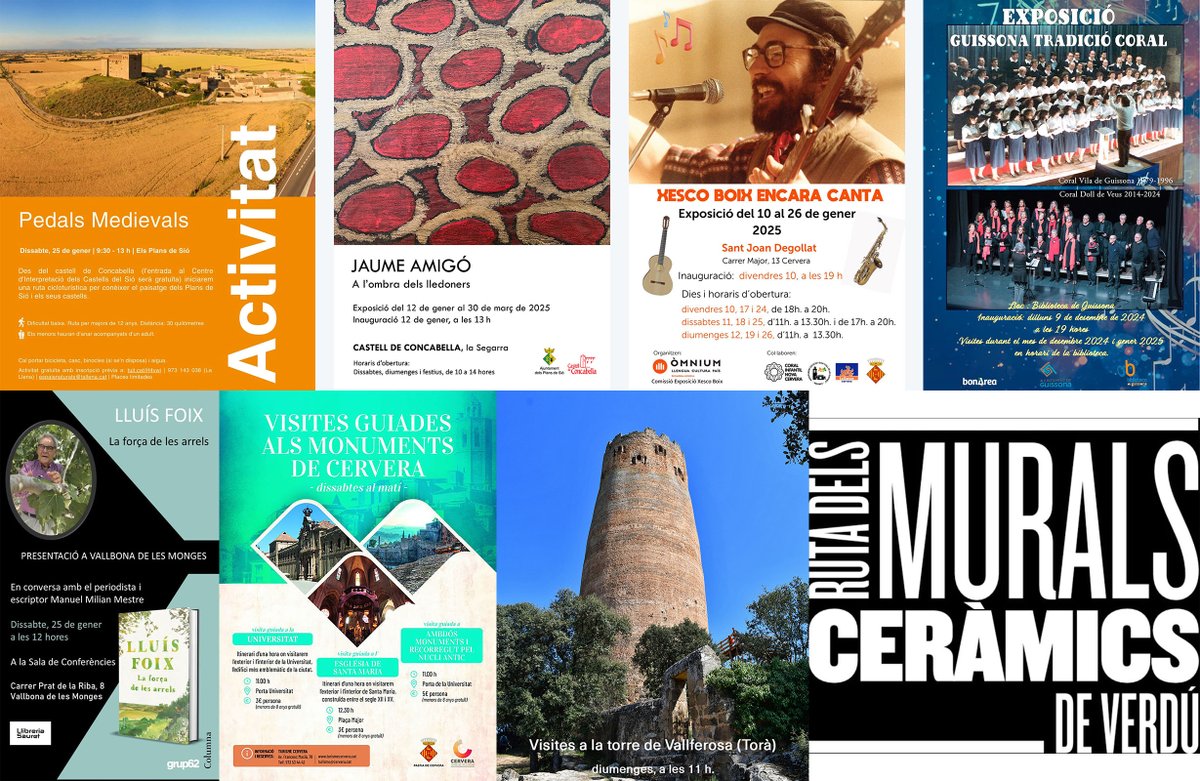 Som Segarra tweet media