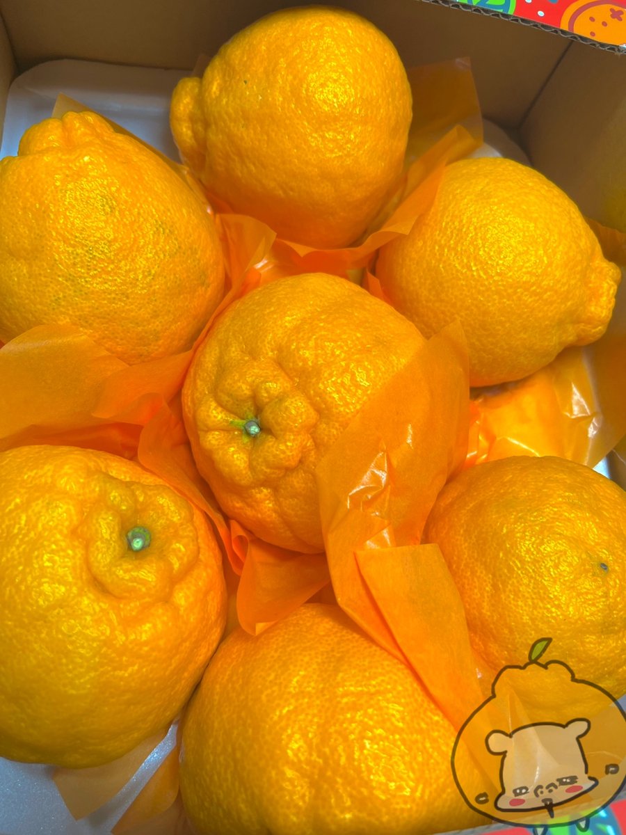 🕯️𝗣𝗔𝗕𝗔𝗡𝗘🌹🔞 tweet media