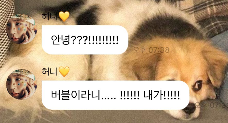 보고싶었어 🥺