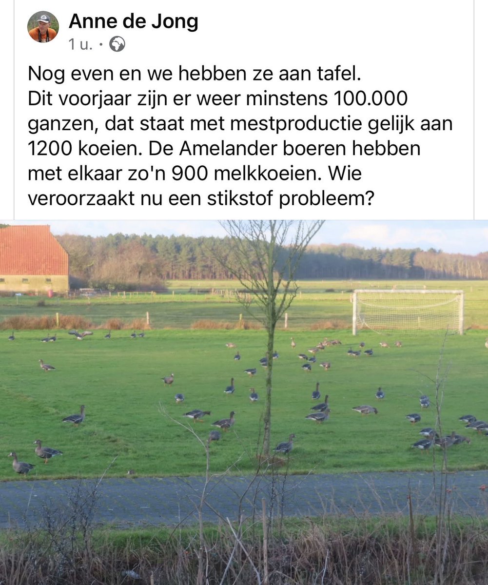 richardtkiewiet tweet media