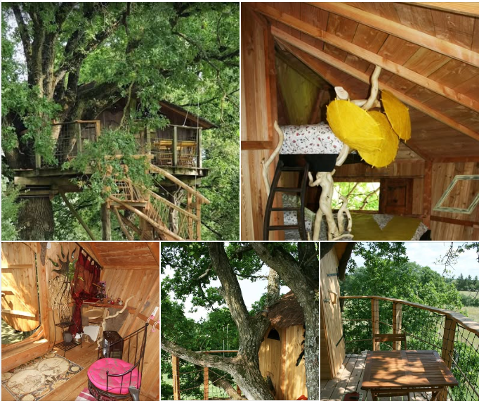 Les cabanes tweet media