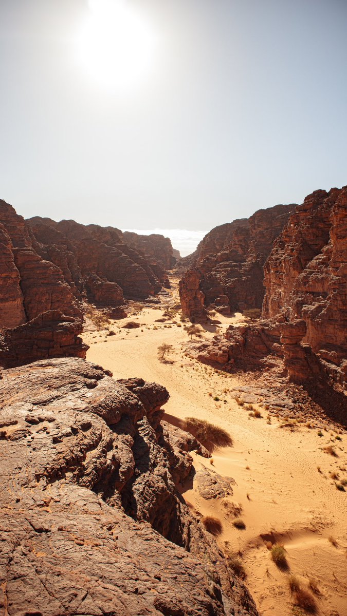 akr_tkn's tweet photo. Sahara Algérien, terre infinie. https://t.co/seVH6VhqcP
