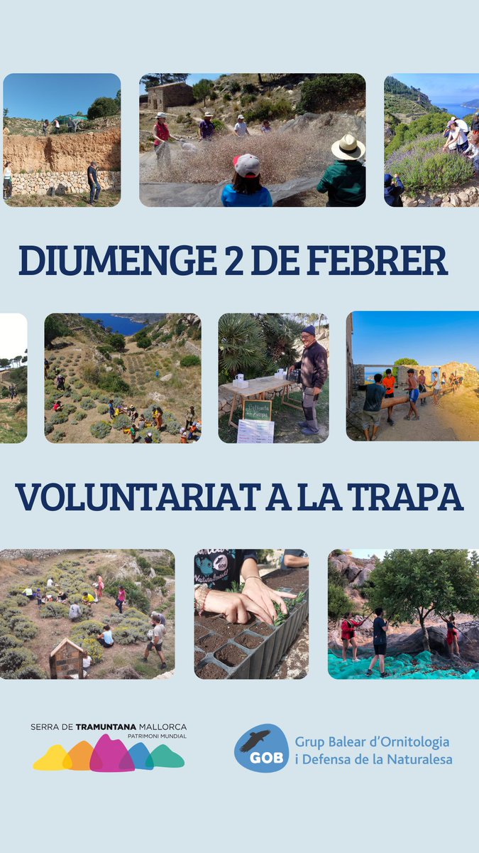 GOBMallorca's tweet photo. 👩🏼🌾 S'acosta febrer i amb ell una nova jornada de #voluntariat a #laTrapa, on farem feines agrícoles i de manteniment al refugi.
💻 Apunta't ja través d'aquest formulari, on trobaràs la resta d'informació: https://t.co/suI2pXu0ao https://t.co/GeoXlrudm0