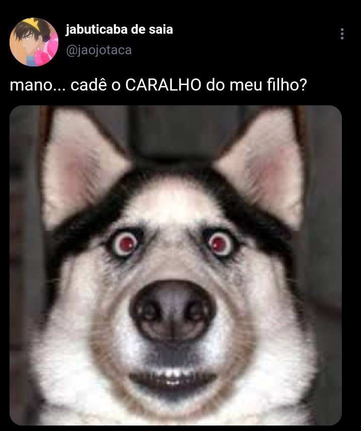 itspjvenus's tweet photo. 🧸 Procurando Kito 
#jikookau terminada

Uma mini jikook au onde Jimin encontra um urso de pelúcia e descobre que este está sendo procurado pelo dono mais inusitado que poderia imaginar, o vizinho guitarrista e tatuado que tira seu sono. https://t.co/PaGG0eBJXI