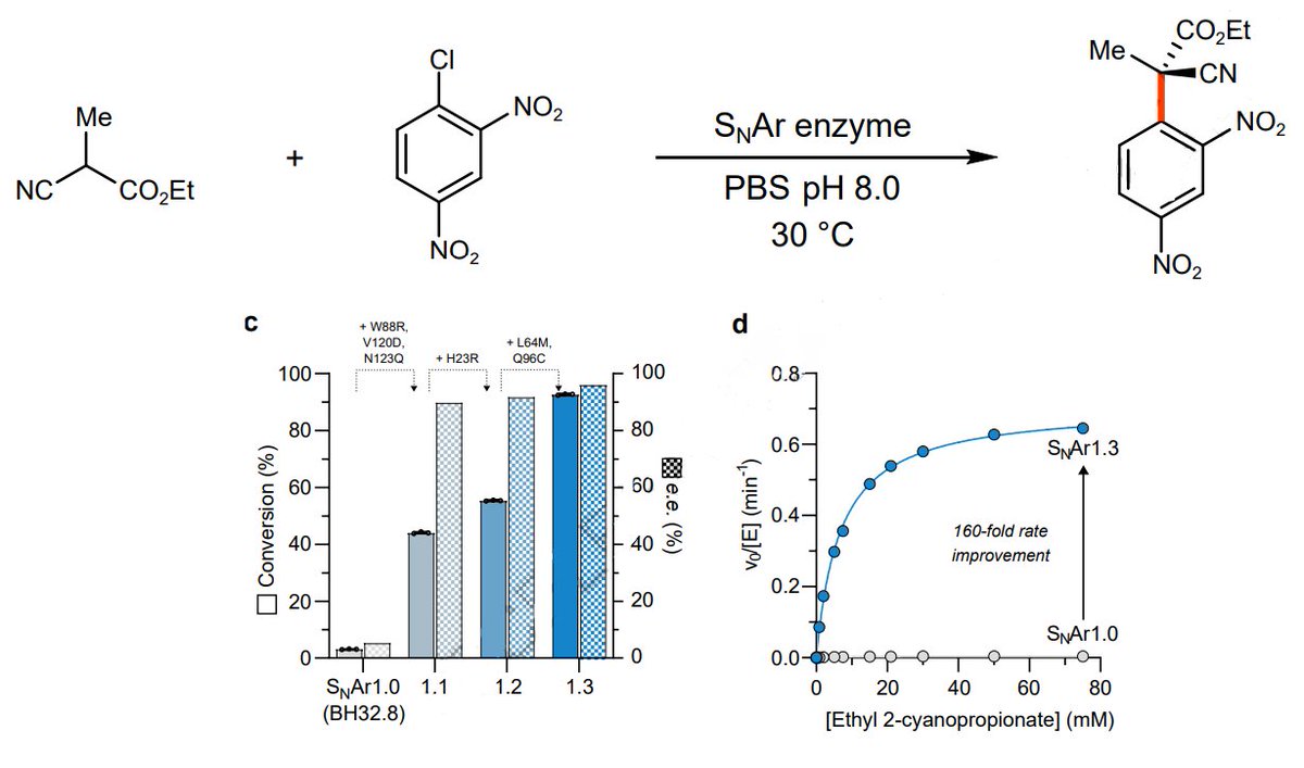 Procter Group (@groupprocter) on Twitter photo #ProcterPOW: our colleagues <a href="/GreenGroupMIB/">Green Research Group</a> report an enzymatic enantioselective SNAr to give a variety of products and building enantiopure quat centres. Engineering 🧬 of the active site leads to a 31-fold increase in conv and 91% increase in ee! 🔗👇 #ProcterPOW: our colleagues <a href="/GreenGroupMIB/">Green Research Group</a> report an enzymatic enantioselective SNAr to give a variety of products and building enantiopure quat centres. Engineering 🧬 of the active site leads to a 31-fold increase in conv and 91% increase in ee! 🔗👇