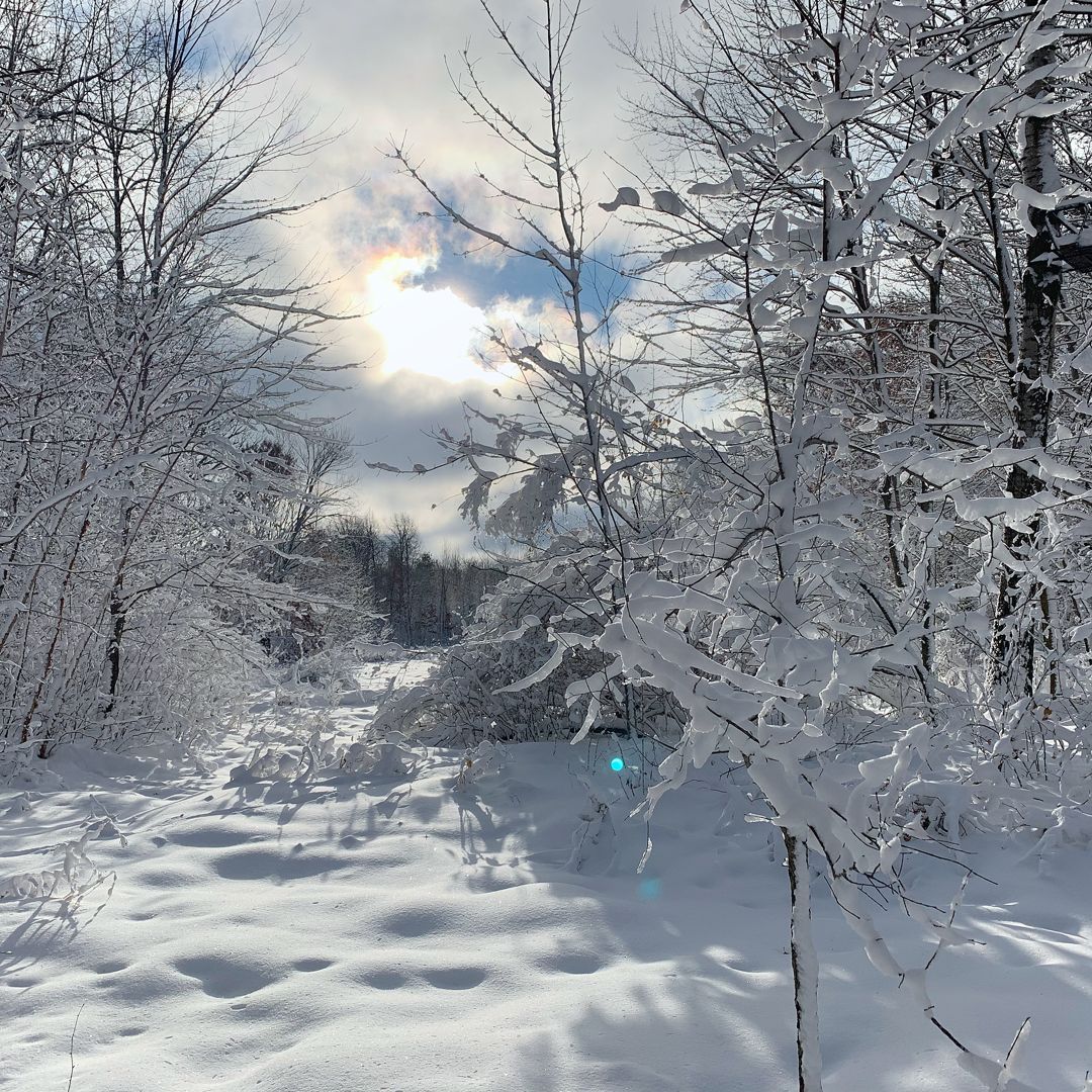 Susie Larson tweet media