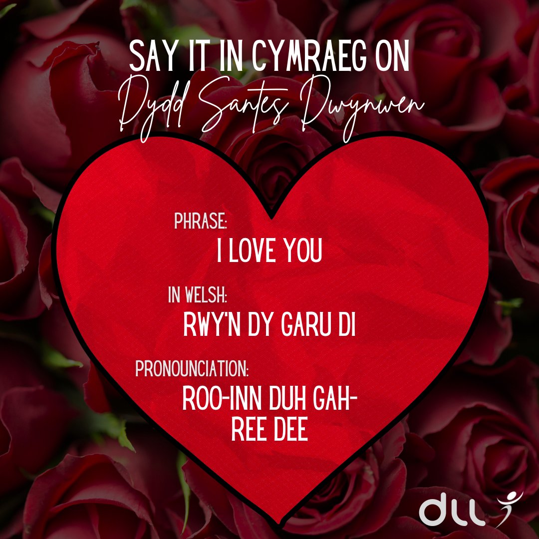 Hamdden Sir Ddinbych cyf / DLL tweet media