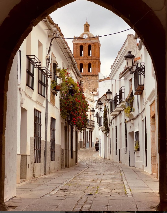 AlexanderDevine tweet media