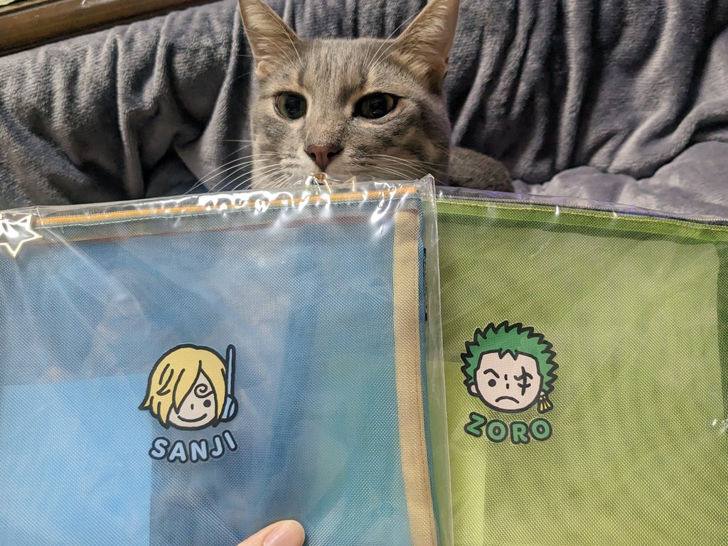 めーやん💛💚 (@meiji005) / Posts / X