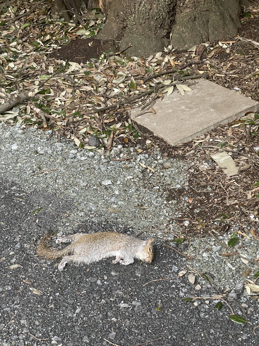 Marketing that Matters👩‍💻🔃☘️ tweet media