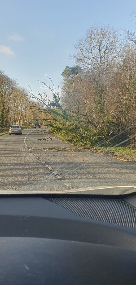 Catherine (Ivers) Cinnamond tweet media