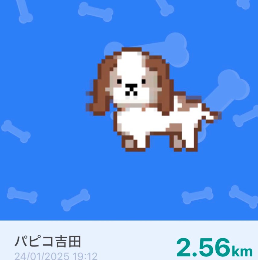 papico_yoshida's tweet image. #LOOTaDOG
#Invitationcode 43228656
@LOOTaDOG
@LOOTaDOG_JPN
lootadog.com/download

こんばんは🌙

「まださんぽにいかないの？」

M2Eのアプリを色々立ち上げてると呆れ気味の顔で見てくるラテさん😒

表情が豊かであーる笑
#ポメラニアン