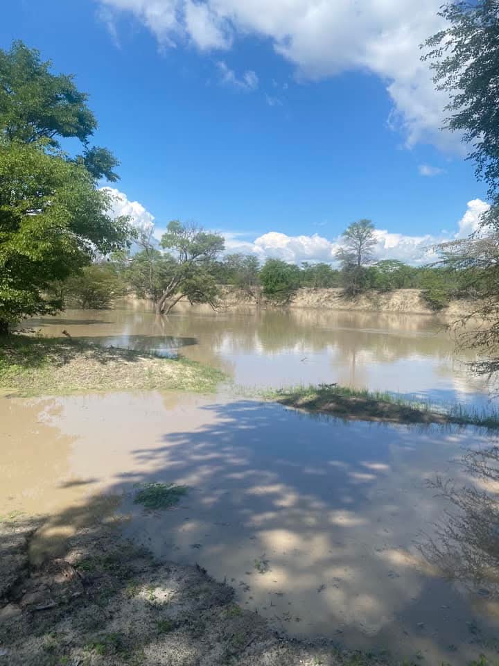 HumanityPurpose's tweet photo. #Découverte
Cette zone de #Nata dans le #NordEst du #Botswana ressemble un peu à notre #LogoneEtChari (#Cameroun) avec de l'eau, un sol boueux et végétation savoneuse autour des cours d'eau... https://t.co/pWk0oHHHkU