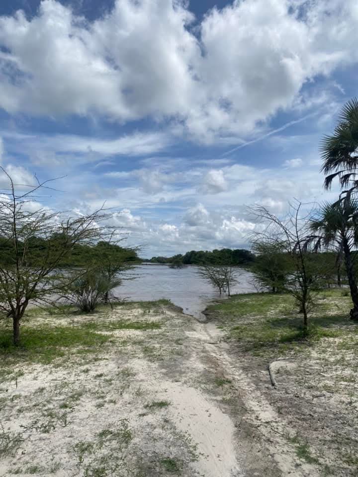 HumanityPurpose's tweet photo. #Découverte
Cette zone de #Nata dans le #NordEst du #Botswana ressemble un peu à notre #LogoneEtChari (#Cameroun) avec de l'eau, un sol boueux et végétation savoneuse autour des cours d'eau... https://t.co/pWk0oHHHkU