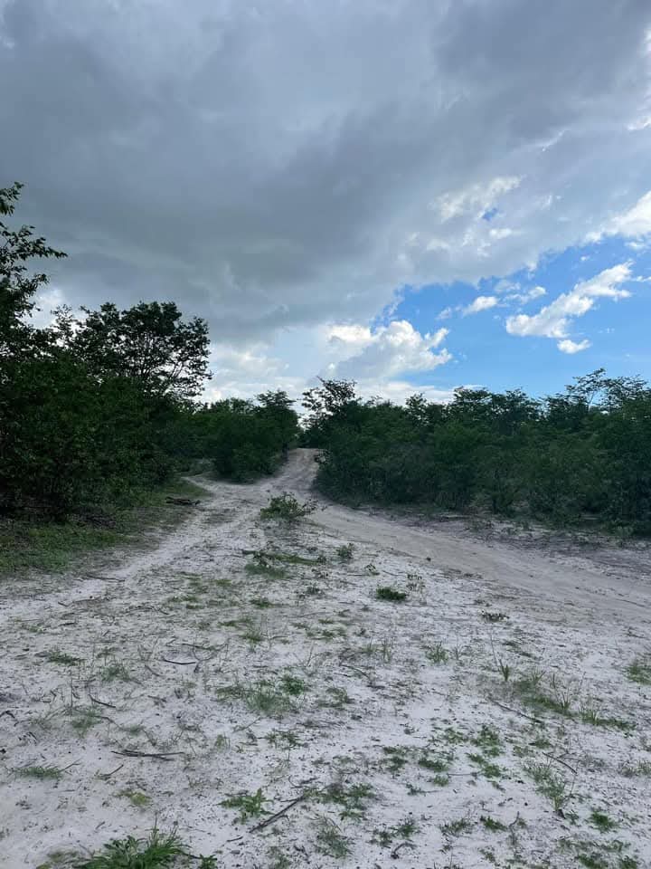 HumanityPurpose's tweet photo. #Découverte
Cette zone de #Nata dans le #NordEst du #Botswana ressemble un peu à notre #LogoneEtChari (#Cameroun) avec de l'eau, un sol boueux et végétation savoneuse autour des cours d'eau... https://t.co/pWk0oHHHkU