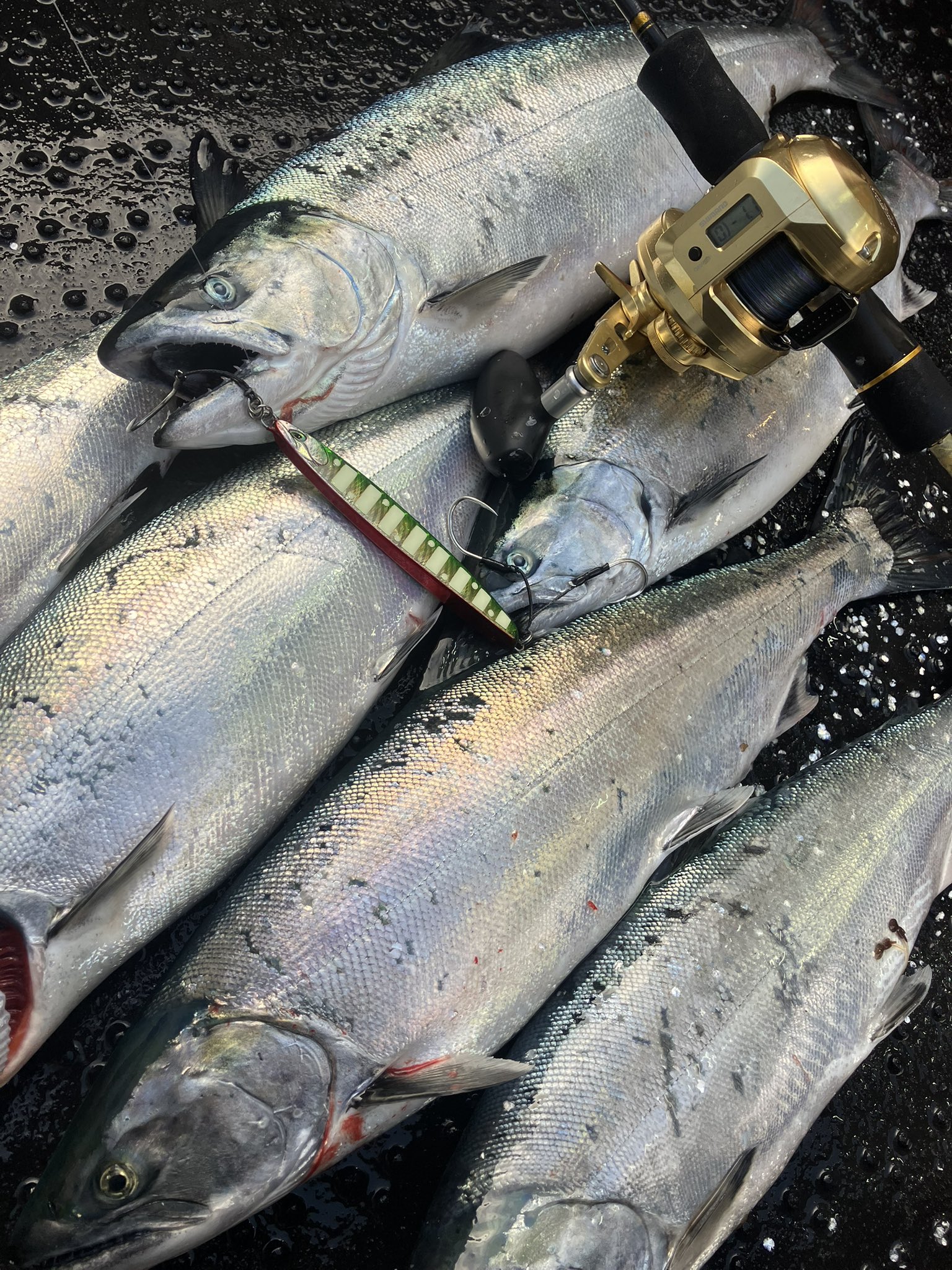 LURES CHEMIST (@ChemistLures) / X