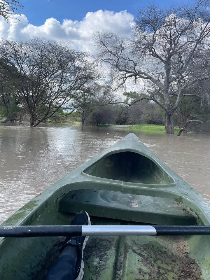 HumanityPurpose's tweet photo. #Découverte
Cette zone de #Nata dans le #NordEst du #Botswana ressemble un peu à notre #LogoneEtChari (#Cameroun) avec de l'eau, un sol boueux et végétation savoneuse autour des cours d'eau... https://t.co/pWk0oHHHkU