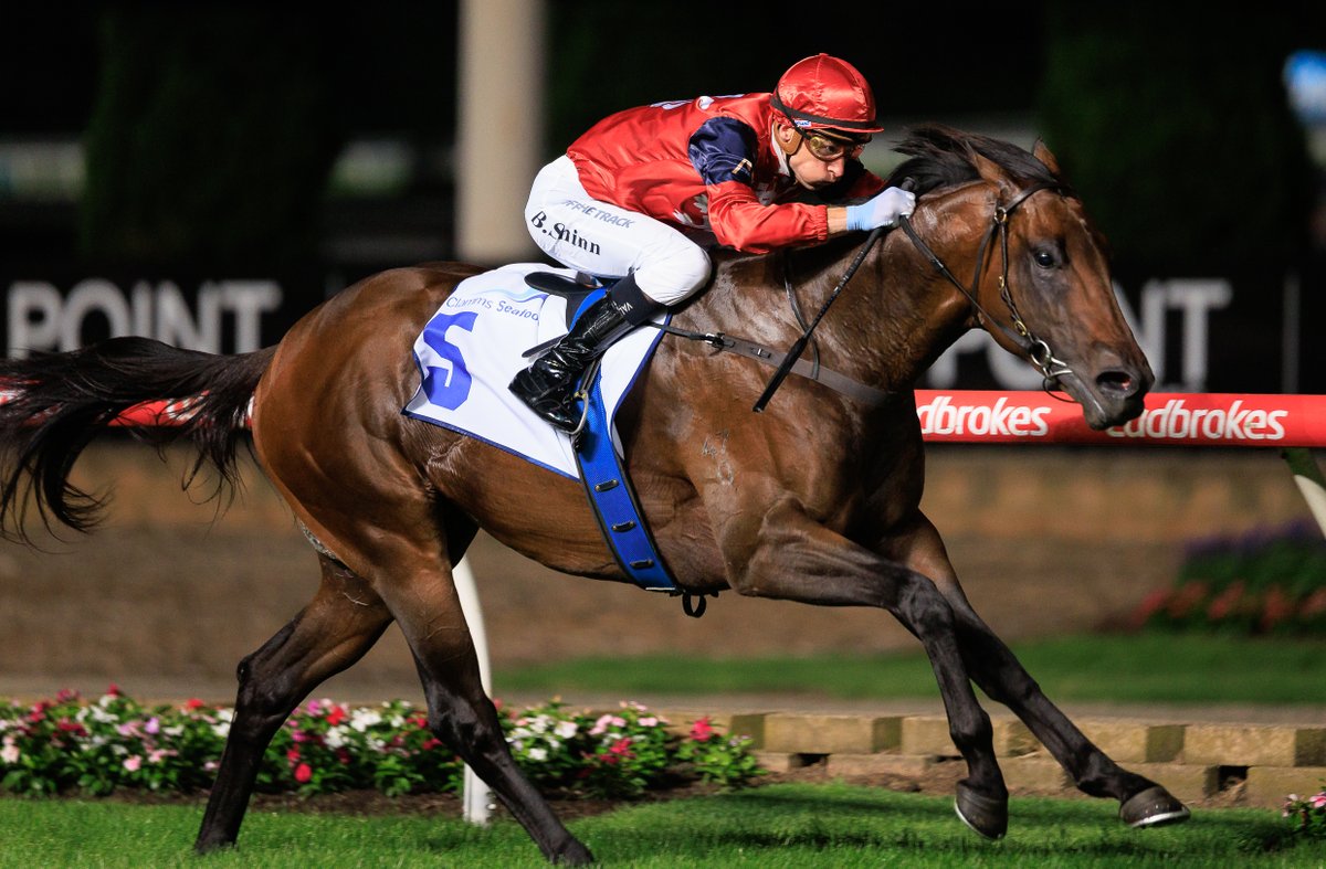 Tara Madgwick (@breednet) on Twitter photo Brilliant return for Zoustar stallion Schwarz, 1.25m MM purchase for the Rosemont Alliance, how much for his full brother headed to Inglis Easter? breednet.com.au/news/36376/zou… <a href="/RosemontStud/">Rosemont Stud</a> <a href="/widdenstud/">Widden</a> <a href="/mmsnippets/">Magic Millions</a> <a href="/inglis_sales/">Inglis</a> <a href="/dredvers/">David Redvers</a> <a href="/shbloodstock/">Suman Hedge Bloodstock</a> Brilliant return for Zoustar stallion Schwarz, 1.25m MM purchase for the Rosemont Alliance, how much for his full brother headed to Inglis Easter? breednet.com.au/news/36376/zou… <a href="/RosemontStud/">Rosemont Stud</a> <a href="/widdenstud/">Widden</a> <a href="/mmsnippets/">Magic Millions</a> <a href="/inglis_sales/">Inglis</a> <a href="/dredvers/">David Redvers</a> <a href="/shbloodstock/">Suman Hedge Bloodstock</a>