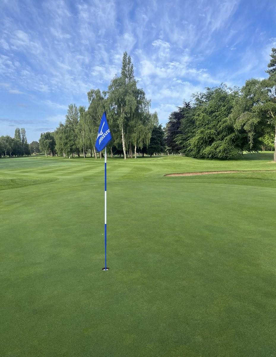 Dale ‘Ｇｏｌｆ Ｇｅｅｋ’ tweet media