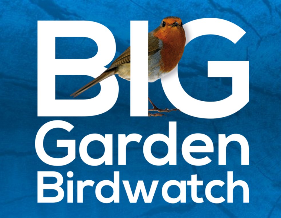 Ready for <a href="/Natures_Voice/">RSPB</a> 's Big Garden Birdwatch this weekend? 🕊️
For top tips from <a href="/ChrisGPackham/">Chris Packham</a> and more, give our Get Birding <a href="/Natures_Voice/">RSPB</a>  Big Garden Birdwatch Special a listen, hosted by <a href="/HamzaYassin3/">Hamza Yassin</a>  open.spotify.com/episode/1FaTOw… packed with insights from incredible guests!