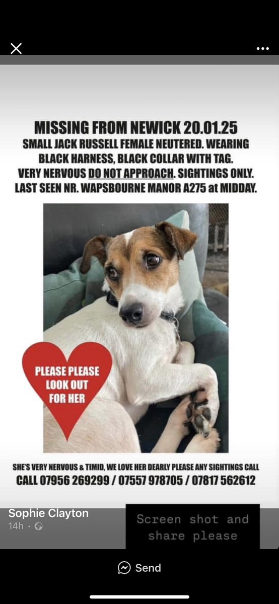 ToniTon830's tweet photo. Shame on @sheffieldparkNT for denying Lost Dog Recovery U.K. South to put up cameras and a trap for missing Maggie who keeps playing chicken with the A275. They are putting her life in danger with their excuses. I won’t be going to Sheffield Park NT again!😡 #lostdog #Newick https://t.co/JMUYT7S0G5