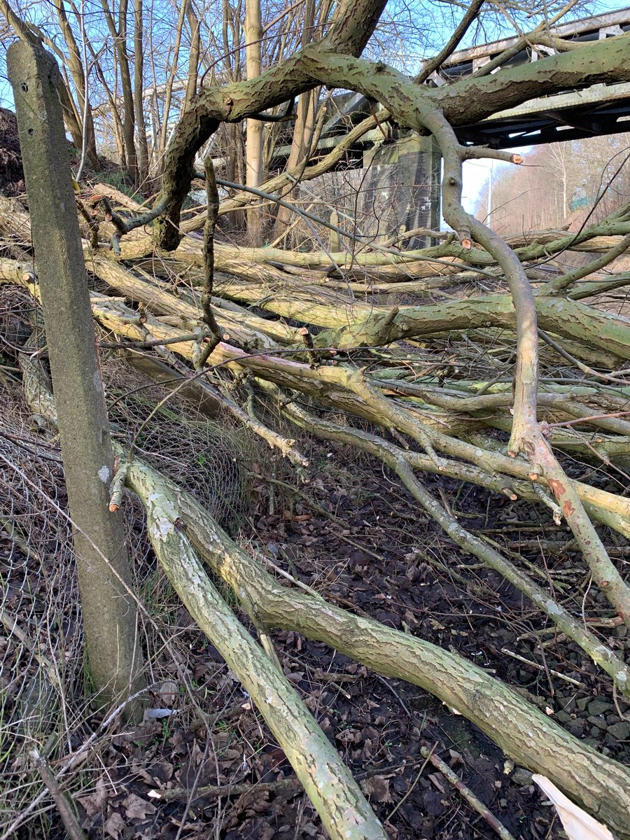 ⚠️ Disruption: Manchester - New Mills

Wind has blown a tree onto the tracks at #Reddish. We're on site to safely remove the tree.

Please check <a href="/nationalrailenq/">National Rail</a> for travel updates during #StormÉowyn 

<a href="/northernassist/">NORTHERN 🚆</a>
