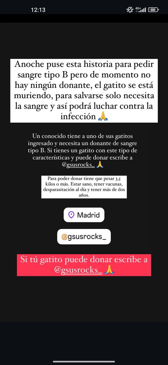 SorayaCoca's tweet photo. @Neinei_art Por si alguien puede ayudar https://t.co/zwGQPSzYfy