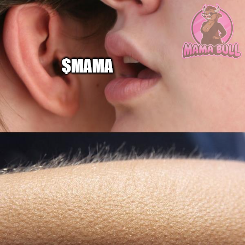 👂 "Psst... $MAMA."

🔥 That feeling? Goosebumps. Jan 27th is going to be that kind of moment. 

💹 Get ready to feel it.
