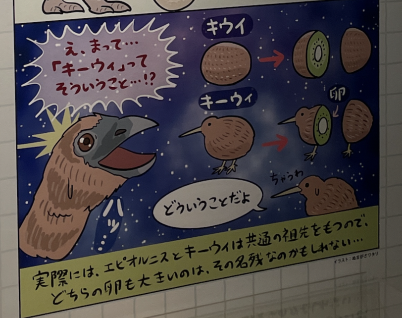 どえらい売れて品切れてた #鳥展 キーウィステッカー、在庫復活したのかしら(なかったらごめんね)
大人気ーウィというわけか 