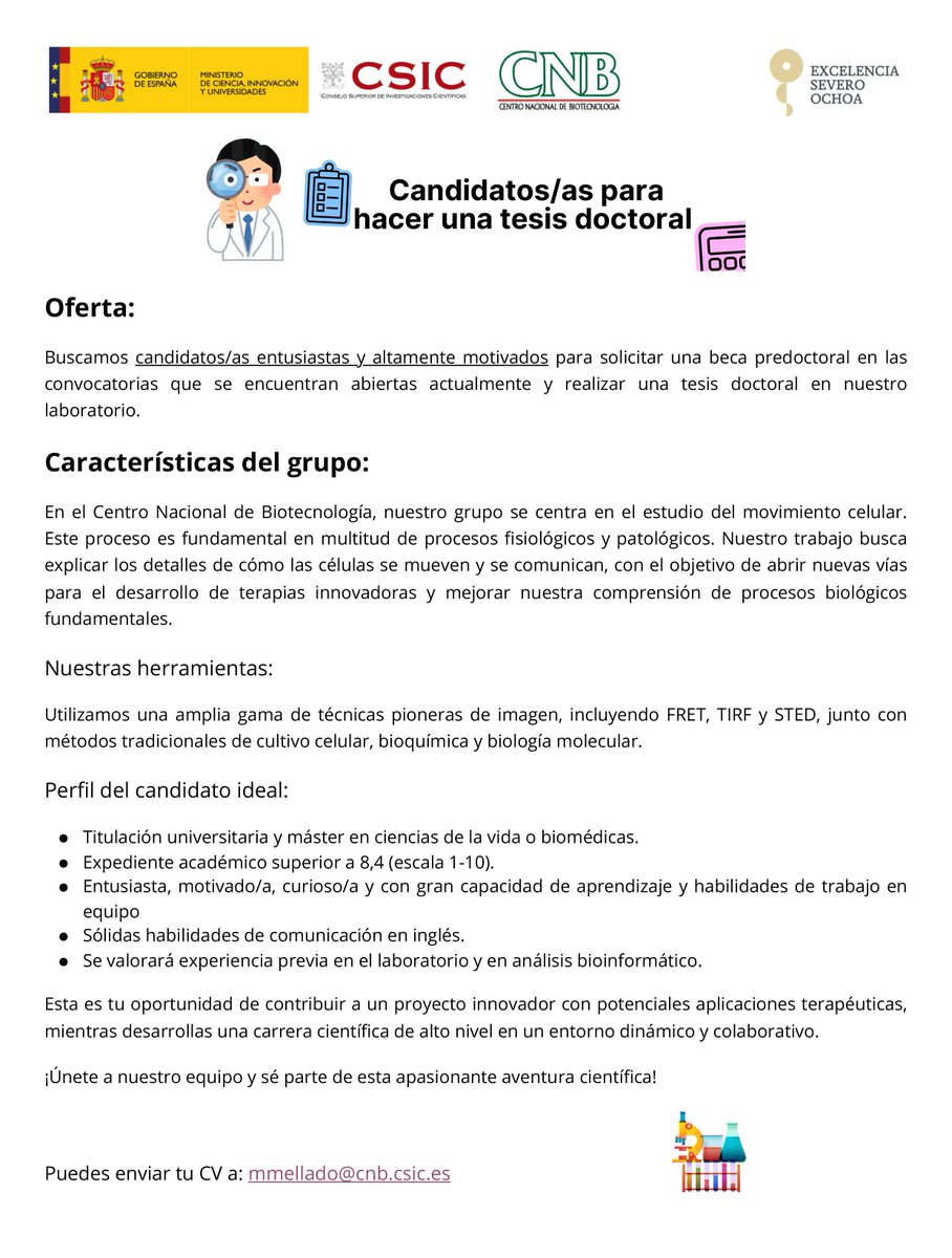 Mario Mellado's Lab (@mmellado_lab) on Twitter photo 🔬 ¡Atención científicos en formación! 🧬Buscamos mentes brillantes para tesis doctoral en <a href="/CNB_CSIC/">Centro Nacional de Biotecnología (CSIC)</a> 🚀Requisitos (Mirar anuncio)
Estudiaremos movimiento celular con tecnología de vanguardia 🔬#CienciaJoven #BecaPredoctoral #Biotecnología 🔬 ¡Atención científicos en formación! 🧬Buscamos mentes brillantes para tesis doctoral en <a href="/CNB_CSIC/">Centro Nacional de Biotecnología (CSIC)</a> 🚀Requisitos (Mirar anuncio)
Estudiaremos movimiento celular con tecnología de vanguardia 🔬#CienciaJoven #BecaPredoctoral #Biotecnología