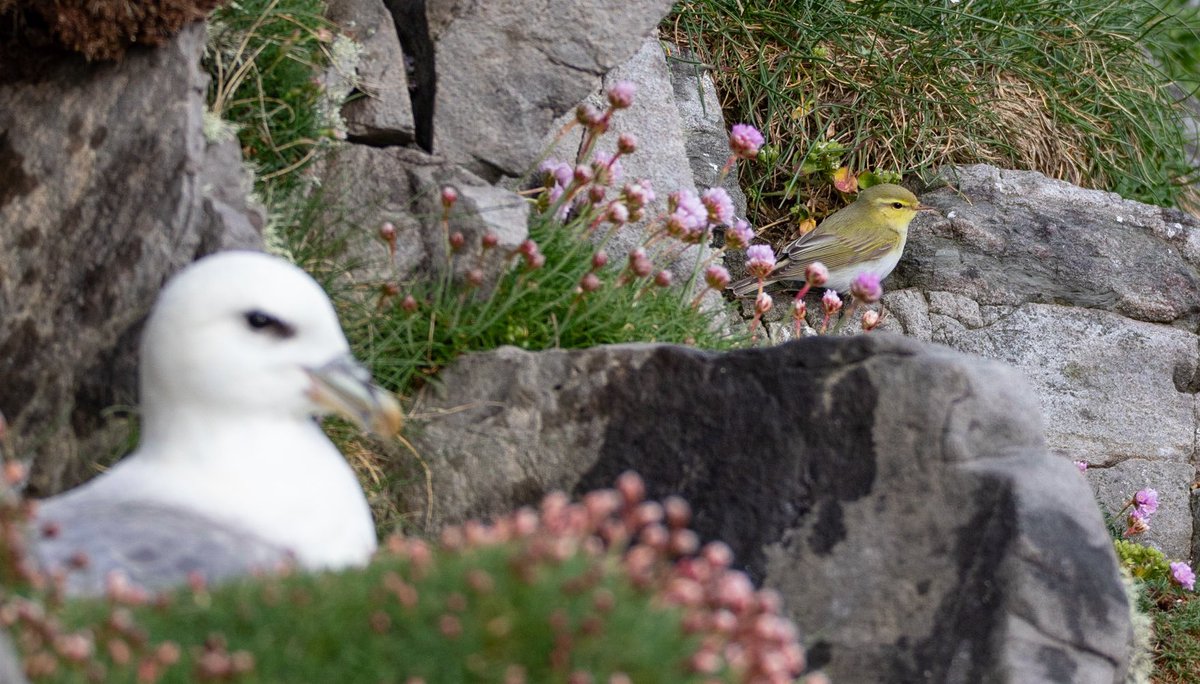 Alex Penn tweet media