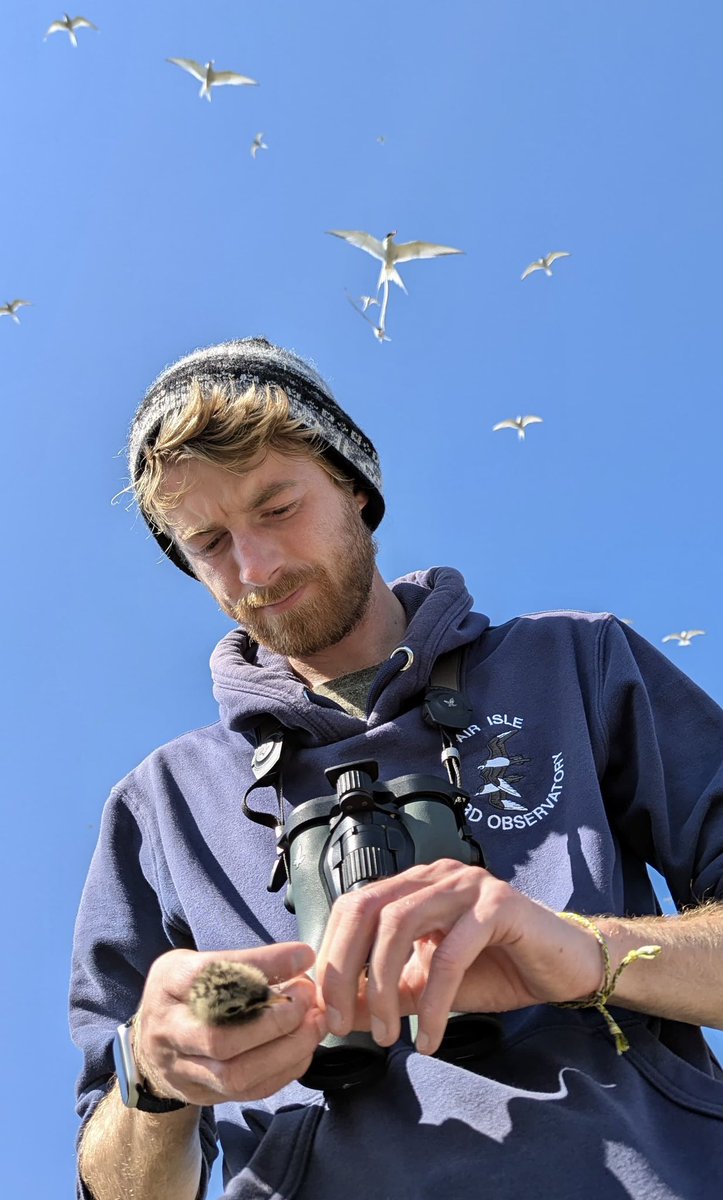 Alex Penn tweet media