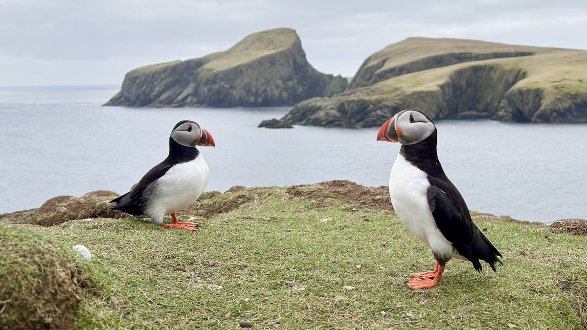 Alex Penn tweet media