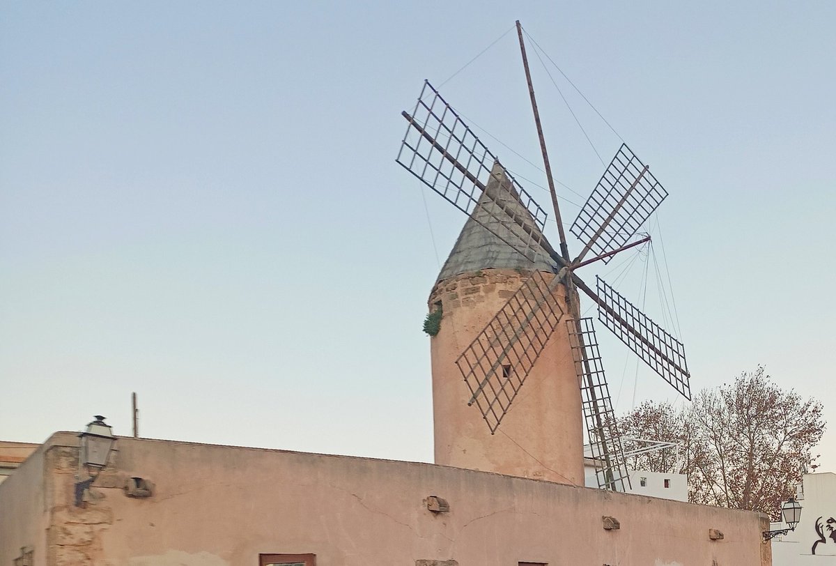 ocbpalma's tweet image. (5) #PerPalmaCadaMes #EsJonquet #gener25