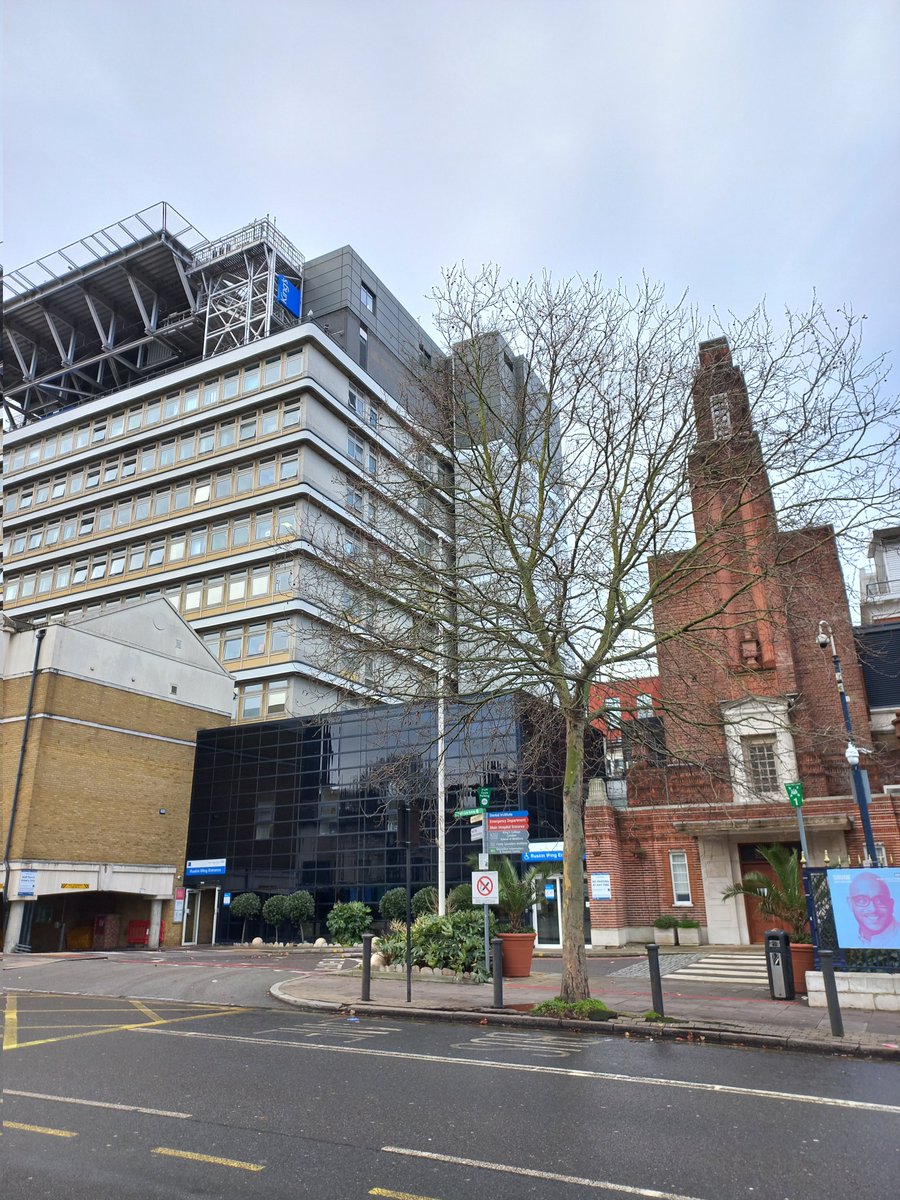 Nicolás Marichal (@nicomarichal) on Twitter photo Delighted to be at the Academic Neuroscience Centre Denmark Hill Campus to give a seminar for King's Health Partners <a href="/kingshealth/">King's Health Partners</a> <a href="/dev_neuro/">CDN | King's College</a> Delighted to be at the Academic Neuroscience Centre Denmark Hill Campus to give a seminar for King's Health Partners <a href="/kingshealth/">King's Health Partners</a> <a href="/dev_neuro/">CDN | King's College</a>