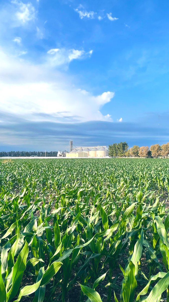 Luciano Ravotti (@lucianoravotti) on Twitter photo 