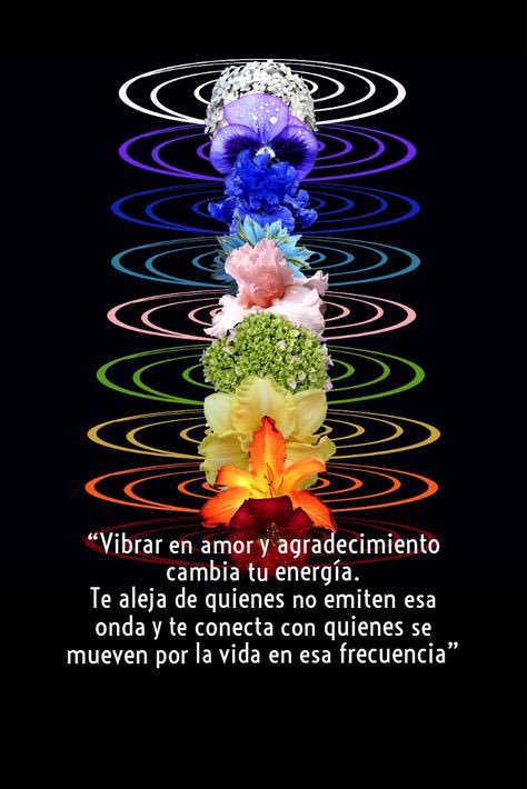 Sololuz5's tweet photo. YO SOY VIBRANDO ALTO ! https://t.co/HAa99QlZtL