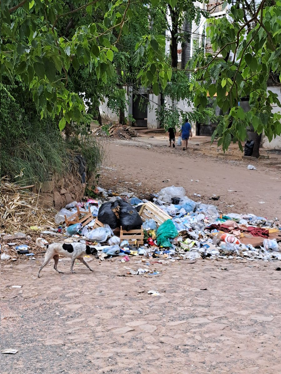 helebelen's tweet photo. @AsuDsu @michelgaona @AsuncionMuni 
Cuando vamos a solucionar este tema? Despues de la limpieza PERO SIN solucion del problema, la basura ya esta presente de nuevo https://t.co/vatcVg3bWQ