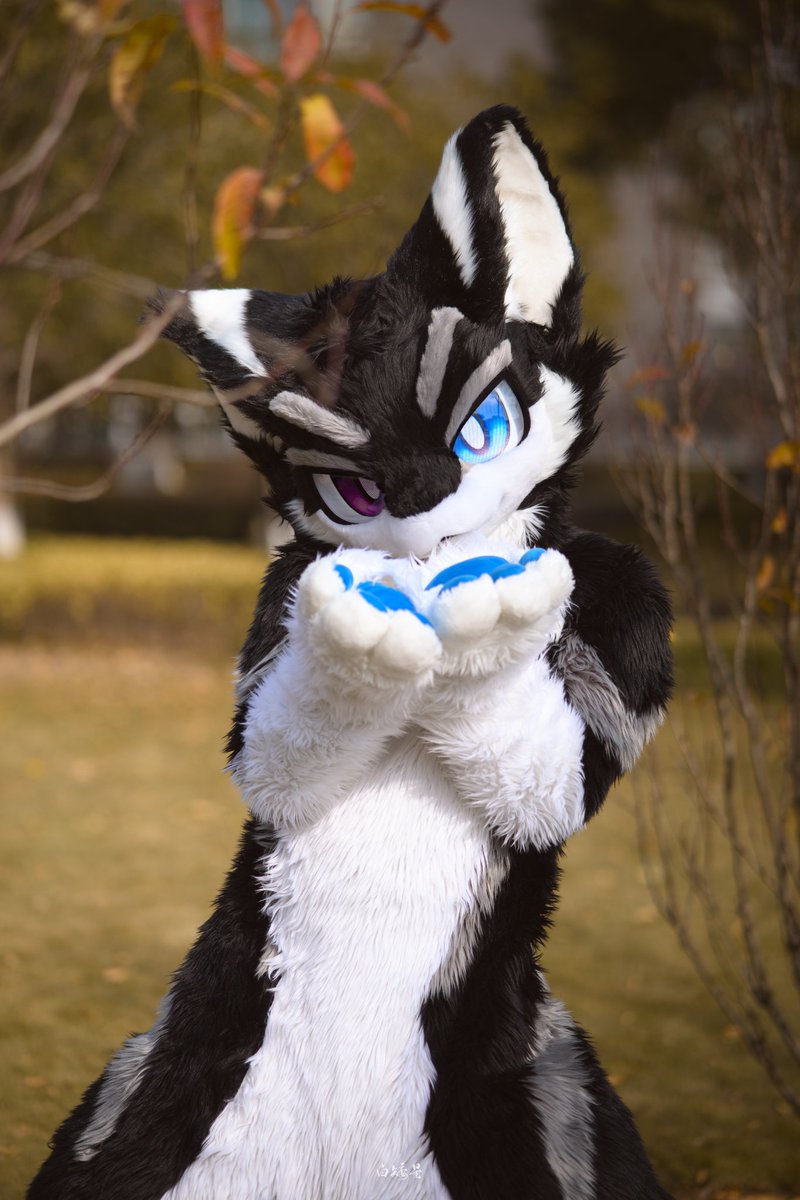 “Phew”
📸：<a href="/whitedwarf010/">Whitedwarf</a>
✂：<a href="/yimaniao/">yimaniao</a>
#FursuitFriday