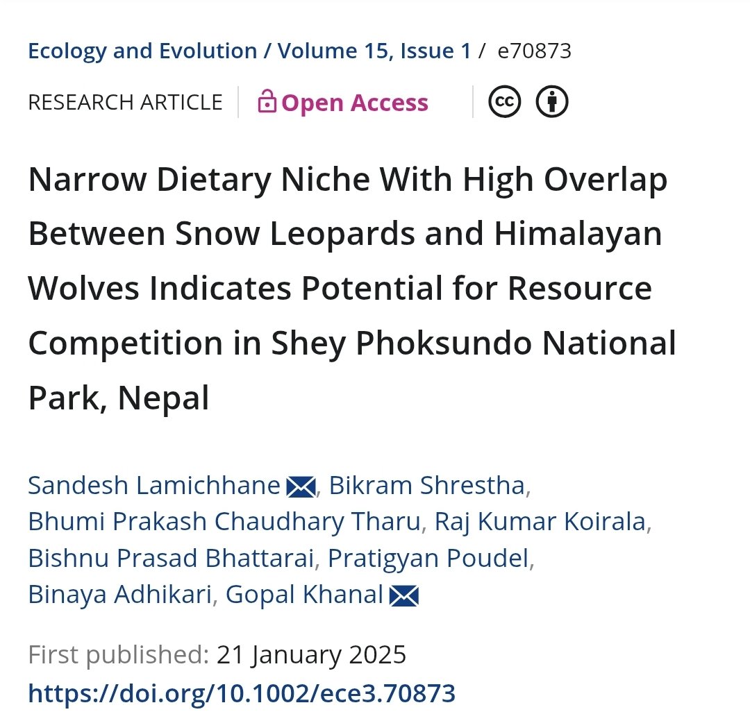 sandesh__Lc's tweet photo. Published:
What are Himalayan wolves and snow leopards eating? What do they eat, despite their preference for different habitat types within the same landscape? This study demonstrates that two sympatric carnivores have a large dietary overlap.

https://t.co/nR4M16NdCQ https://t.co/j3nMiuykn9