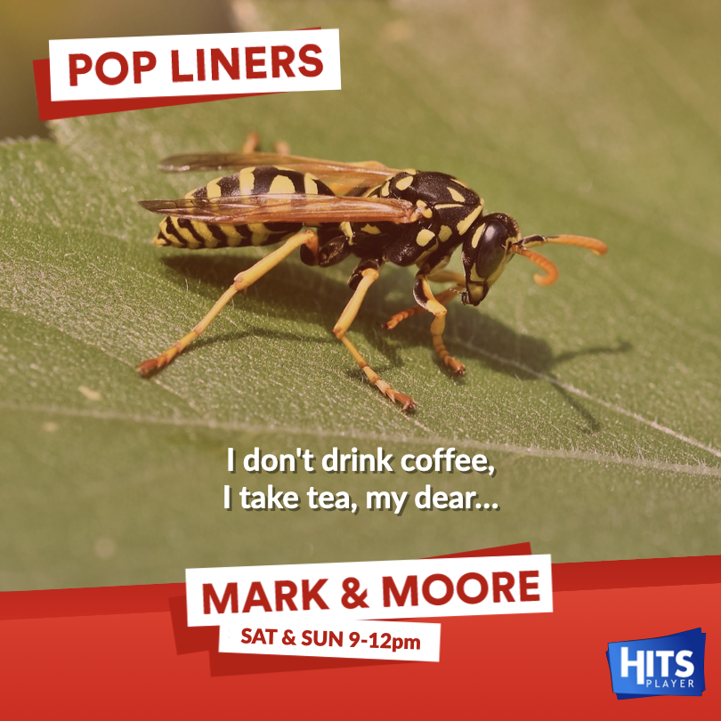 MarkAndMoore's tweet photo. 📻 Mark and Colin have the soundtrack for the weekend with games, quizzes and #PopLiners. 🗣 Do you know the band and song?

Message below… #MarkAndMoore

📲 Hits Player App | 📷 https://t.co/mMj0ElZQ6E | @hitsplayer https://t.co/CoKUh53oFQ